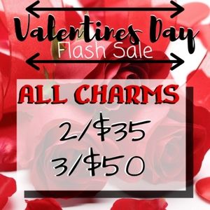 VALENTINES DAY STERLING SILVER CHARM SALE!